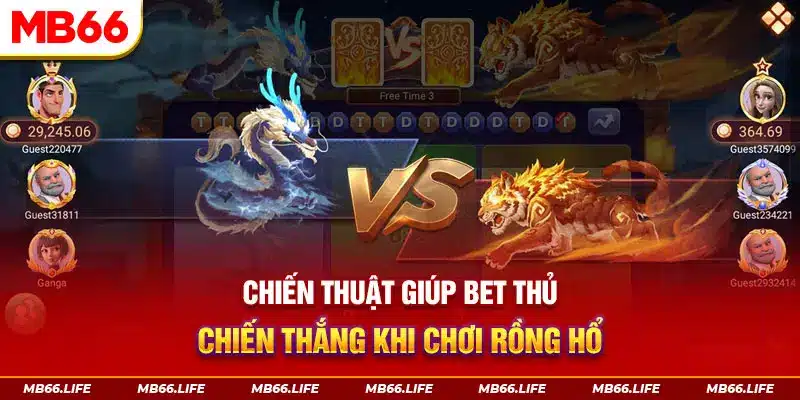 Chiến thuật giúp bet thủ chiến thắng khi chơi nổ hũ rồng hổ