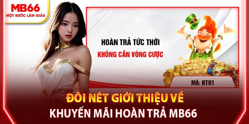 Đôi nét về khuyến mãi hoàn trả MB66